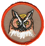 Embroidered colorful 2 inch round patch Great Horned Owl